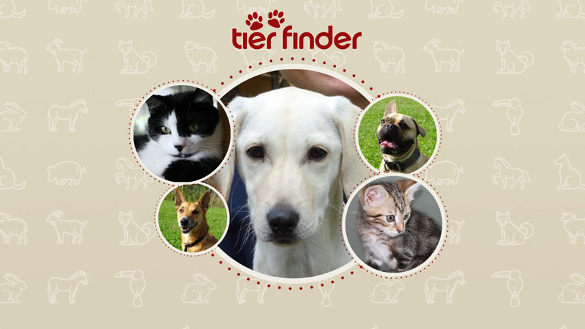 Sat.1 Gold: Tierfinder